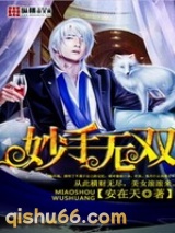 妙手无双小说