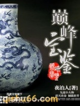 巅峰宝鉴小说