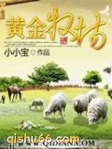 黄金牧场小说