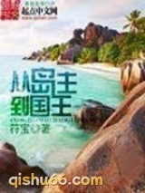 从岛主到国王小说