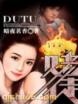 赌徒小说