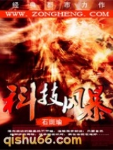 科技风暴小说