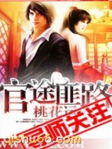 官场布衣(官途匪路桃花运)小说