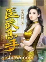 医武高手小说