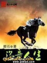 恣意人生小说
