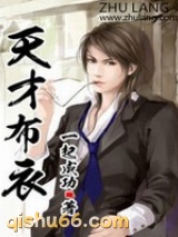 天才布衣小说