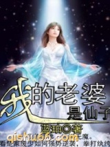 我的老婆是仙子小说
