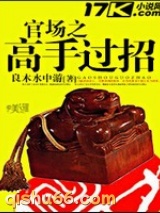 官场之高手过招小说