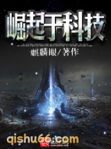 崛起于科技小说