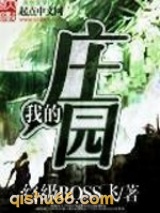 我的庄园小说