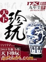 天下珍玩小说