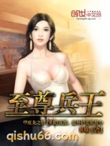 至尊兵王小说