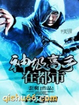 神级高手在都市小说