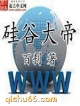 硅谷大帝小说
