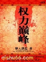 权力巅峰小说