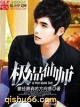极品仙师小说