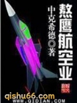 熬鹰航空业小说