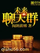 未来聊天群小说