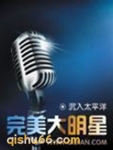 完美大明星小说