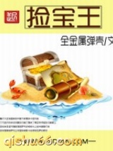 捡宝王小说