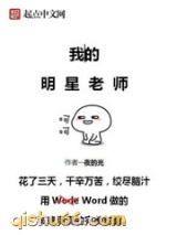 我的明星老师小说