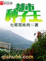 都市种子王小说