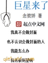 巨星来了小说