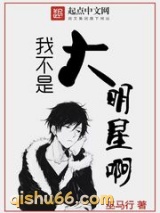 我不是大明星啊小说