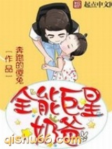 全能巨星奶爸小说