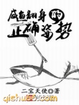 咸鱼翻身的正确姿势小说