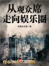 从观众席走向娱乐圈小说
