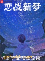 恋战新梦小说