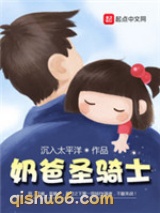 奶爸圣骑士小说