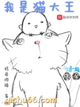 我是猫大王小说