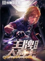 王牌大高手小说