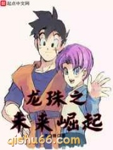 龙珠之未来崛起小说