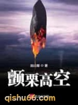 颤栗高空小说