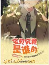 宝贝究竟是谁的小说