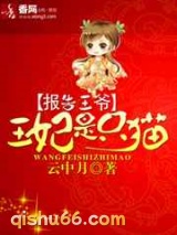报告王爷，王妃是只猫小说