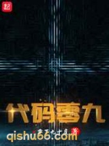 代码零九小说