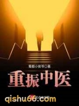 重振中医小说