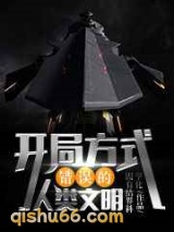 开局方式错误的人类文明小说