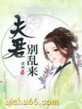 系统穿越：夫君，别乱来小说