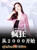 疯狂从2000开始小说