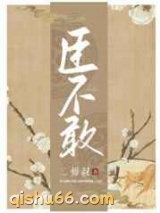 臣不敢小说