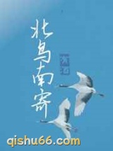 北鸟南寄小说