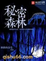 秘密的森林小说