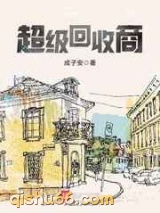 超级回收商小说