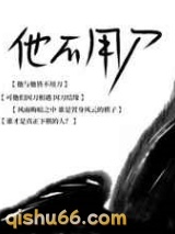 他不用刀小说