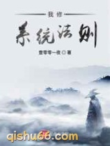 我修系统法则小说
